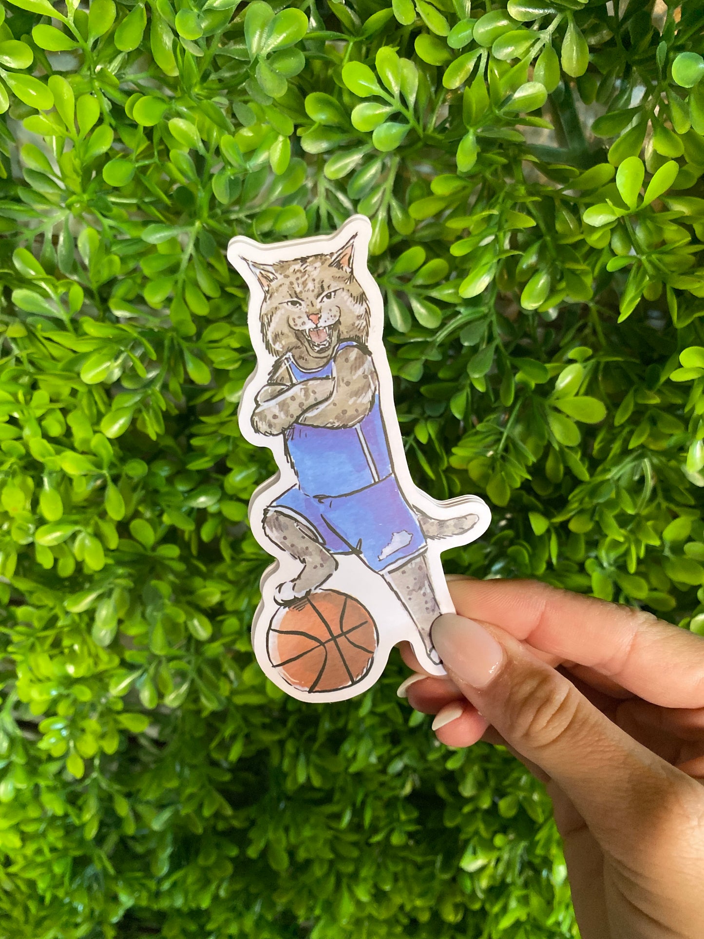 Wildcat Sticker