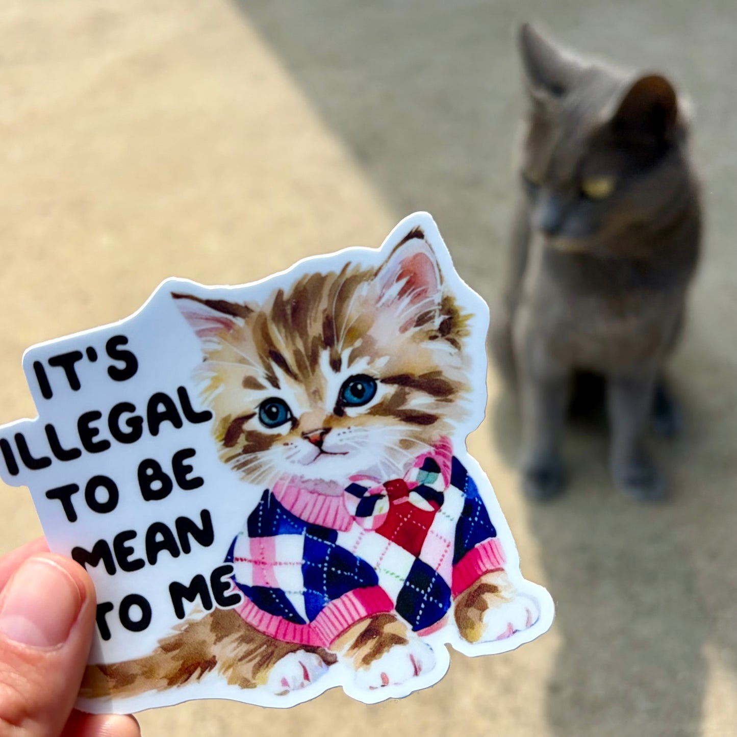 It’s Illegal To Be Mean to Me Kitten Sticker