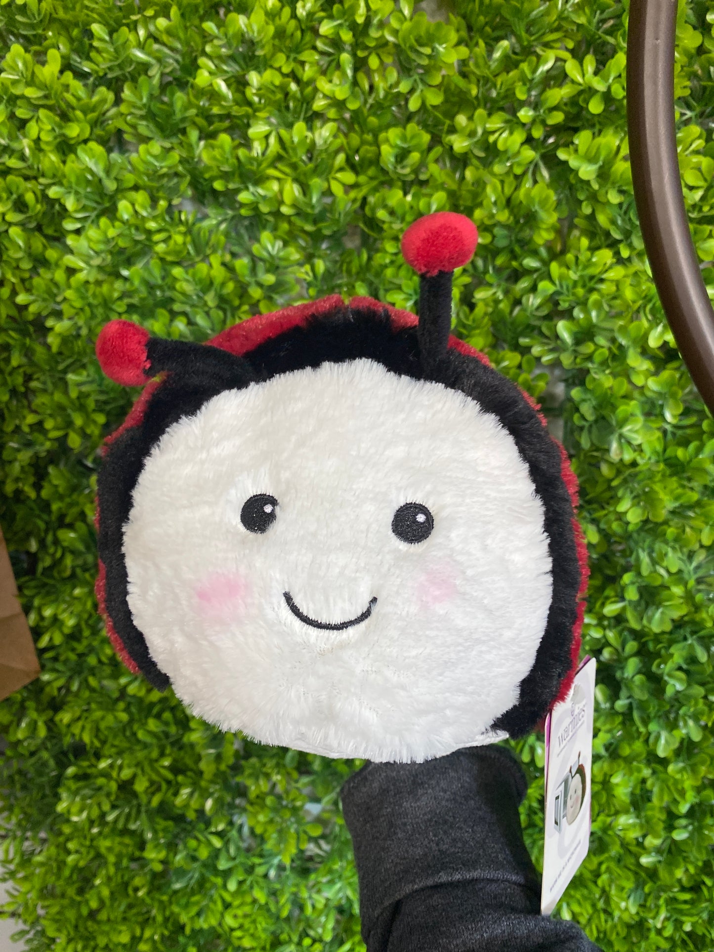 Ladybug Warmies