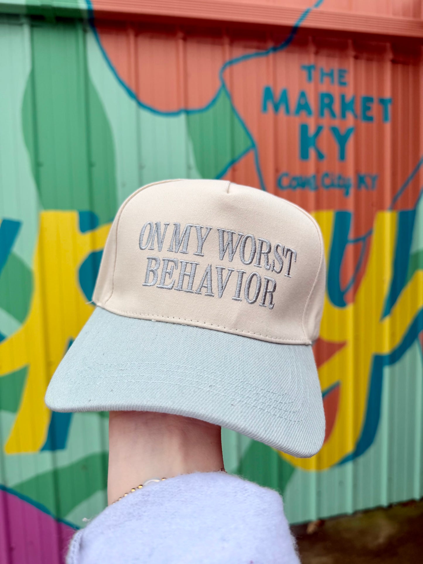 Light Gray & Beige On My Worst Behavior Hat