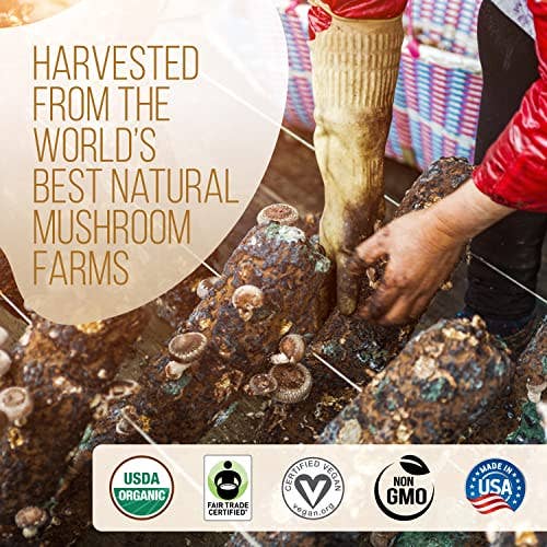 La Republica Organic Mushroom Coffee 10-Pack (Full-Fruiting): 10-Pack Single Serve Box