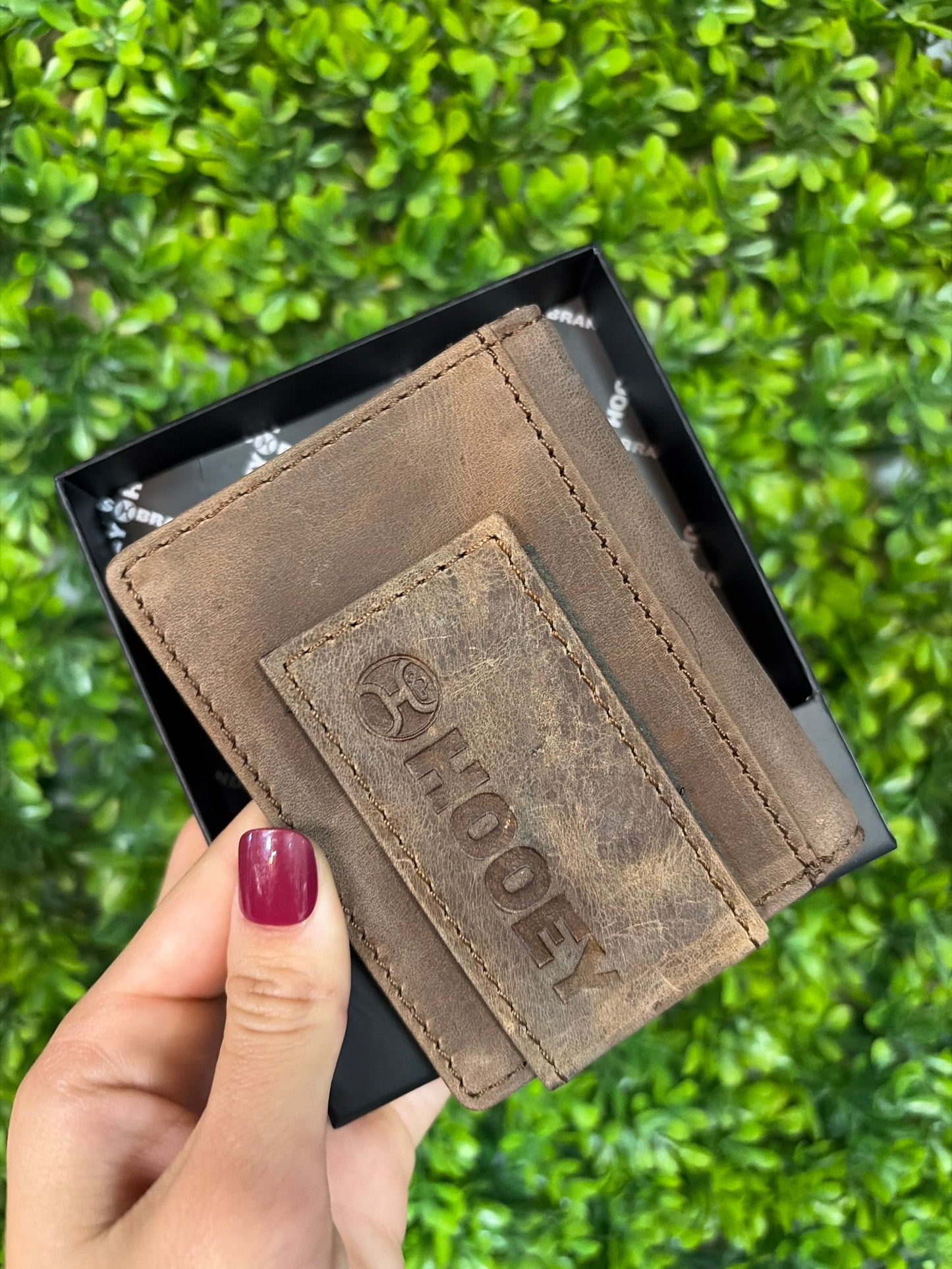 Hooey Dalton Bifold Money Clip Wallet