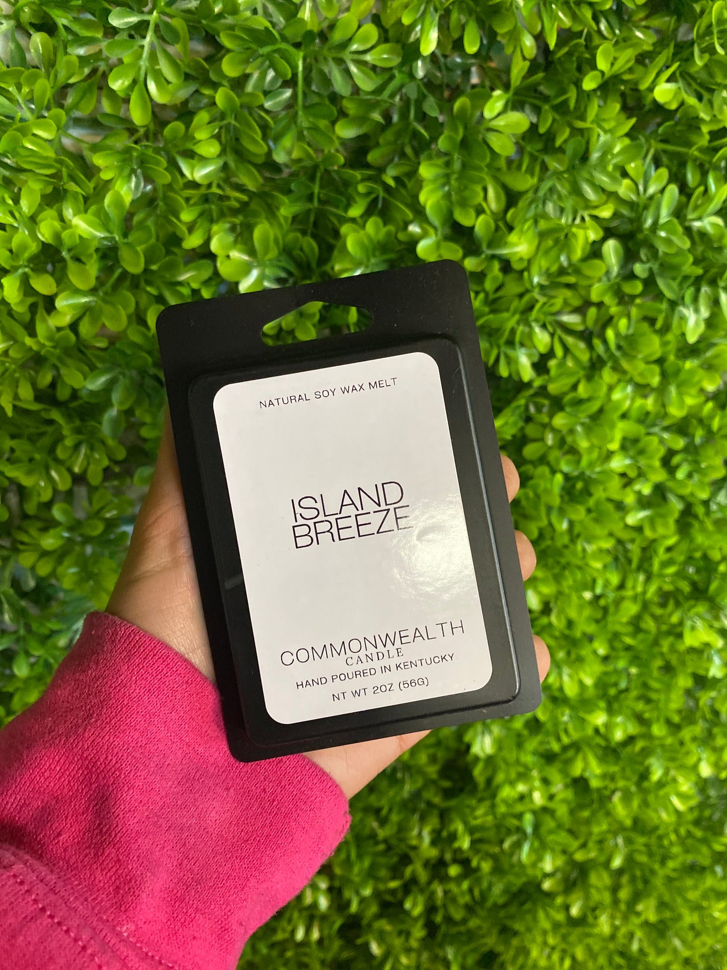 Island Breeze: Wax Melt