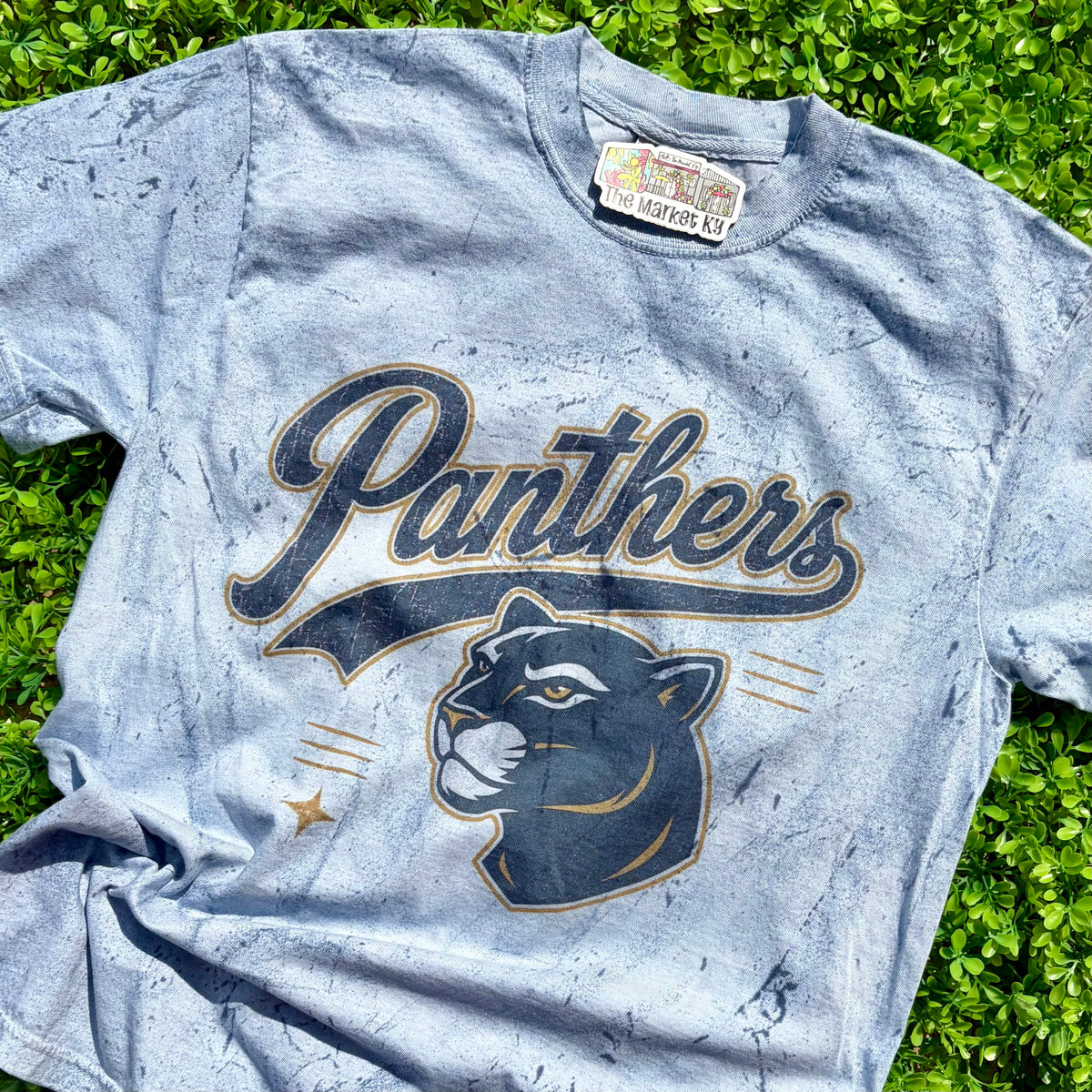 Panthers Varsity Mascot Acid Wash Comfort Colors Tee