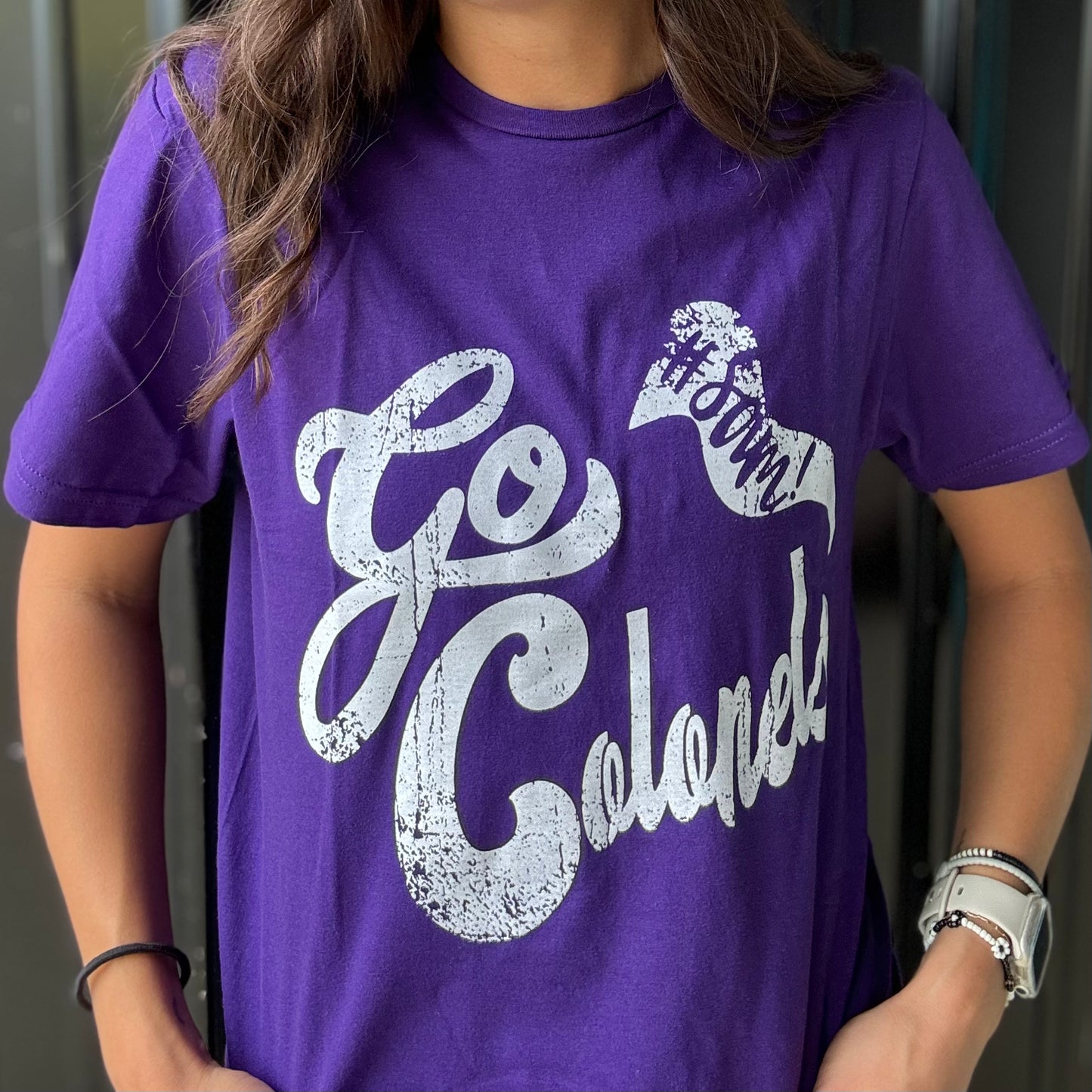 Go Colonels Pennant Tee