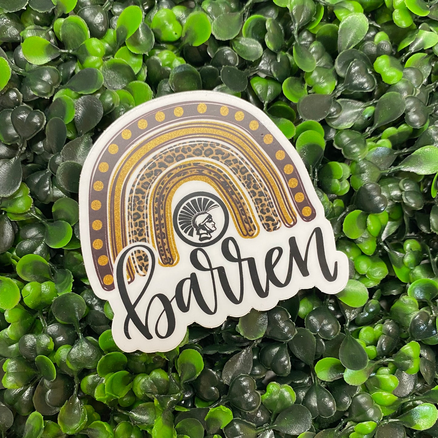 Barren Rainbow Decal