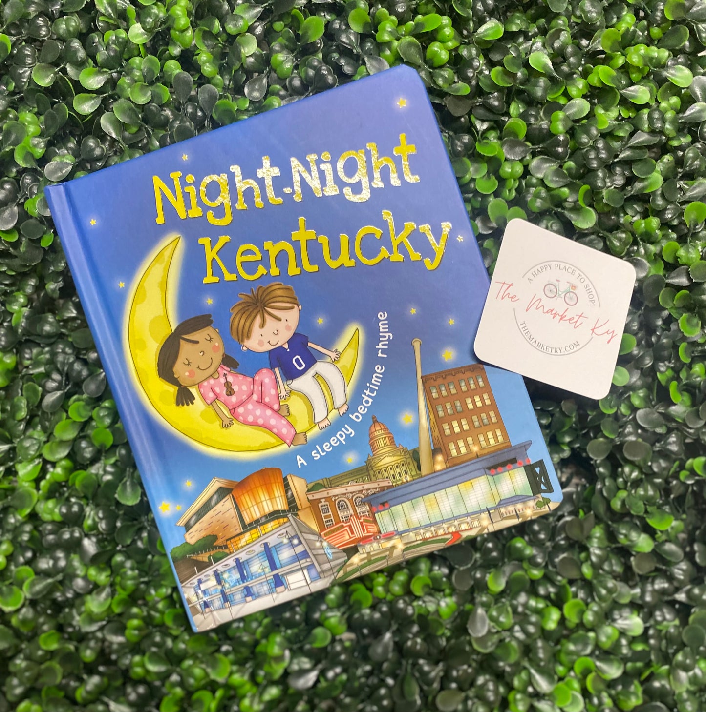 Night Night Kentucky Book
