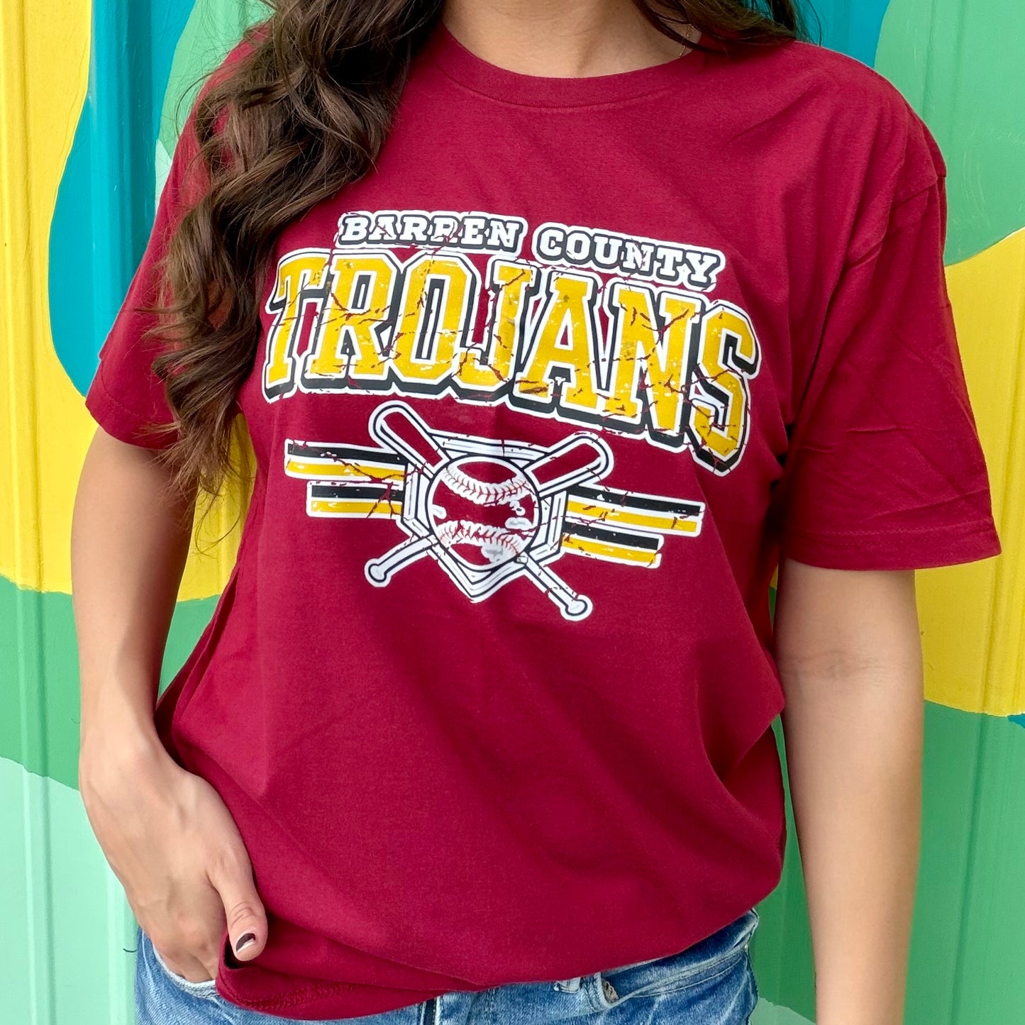 Barren Trojans Baseball Vintage Stripe Tee