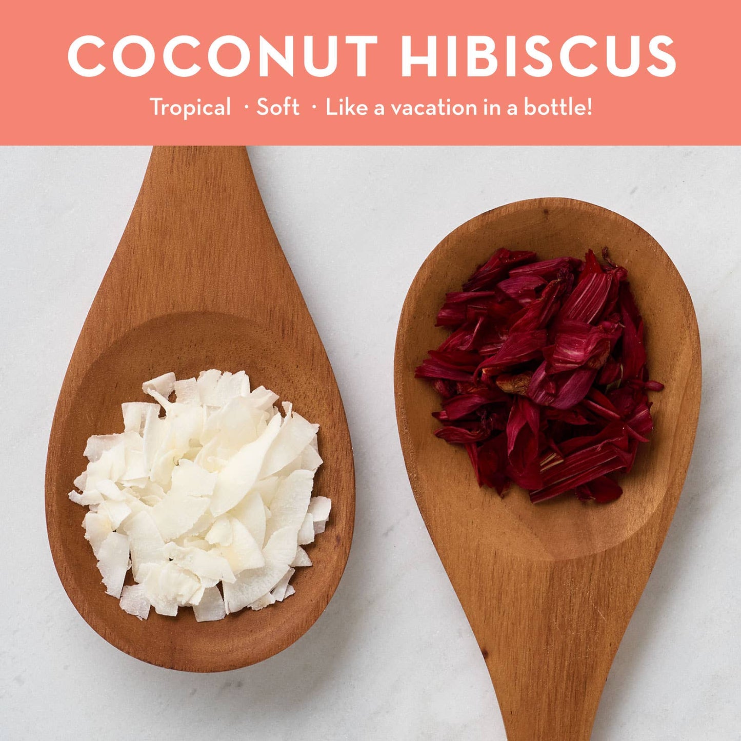 12oz Coconut Hibiscus Body Wash