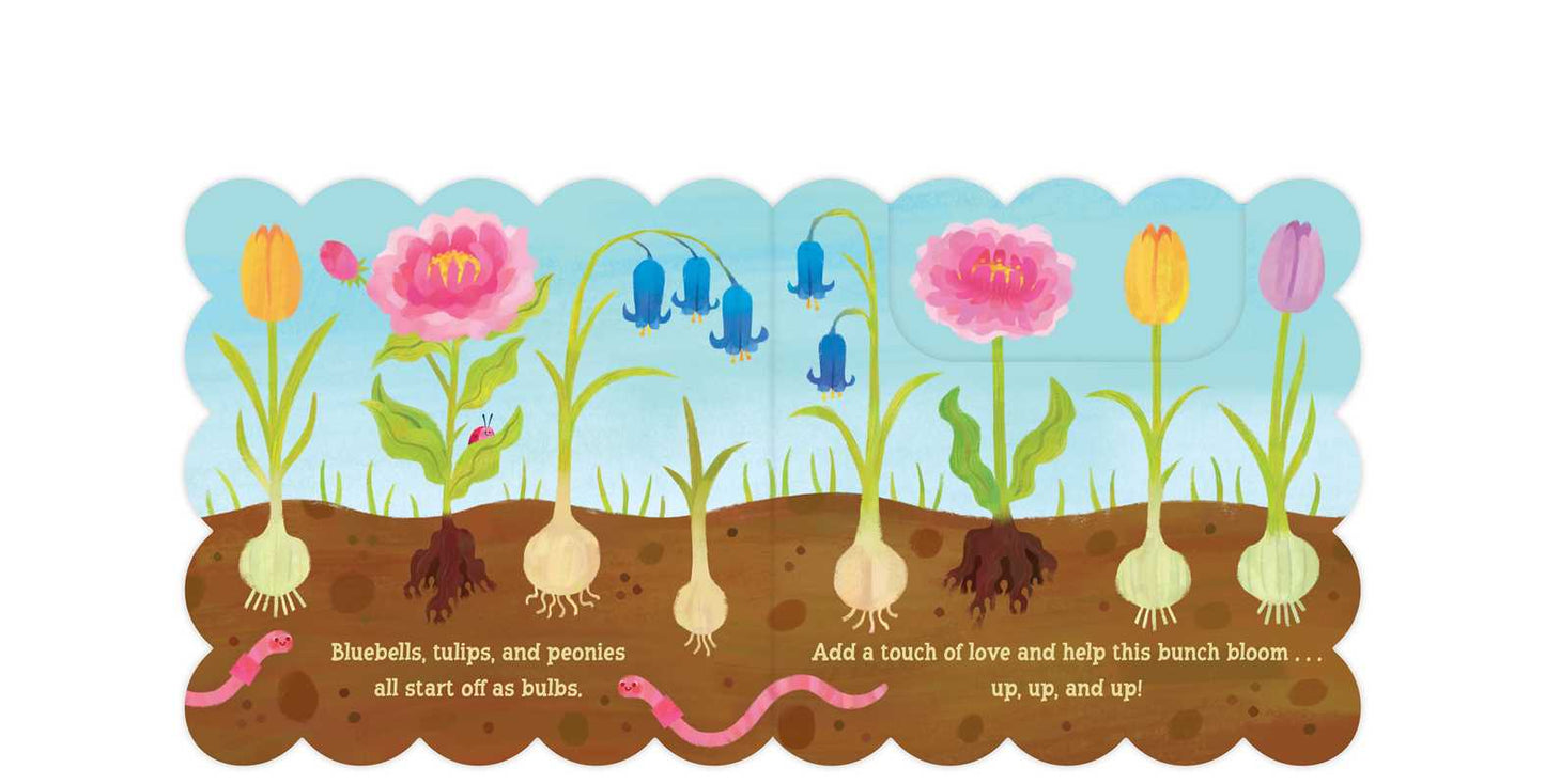 Spring Blooms by Dori Elys: Board Books; 14 pages / English
