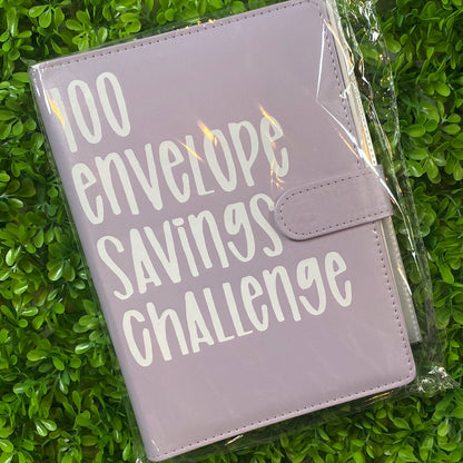 100 Envelope Savings Challenge