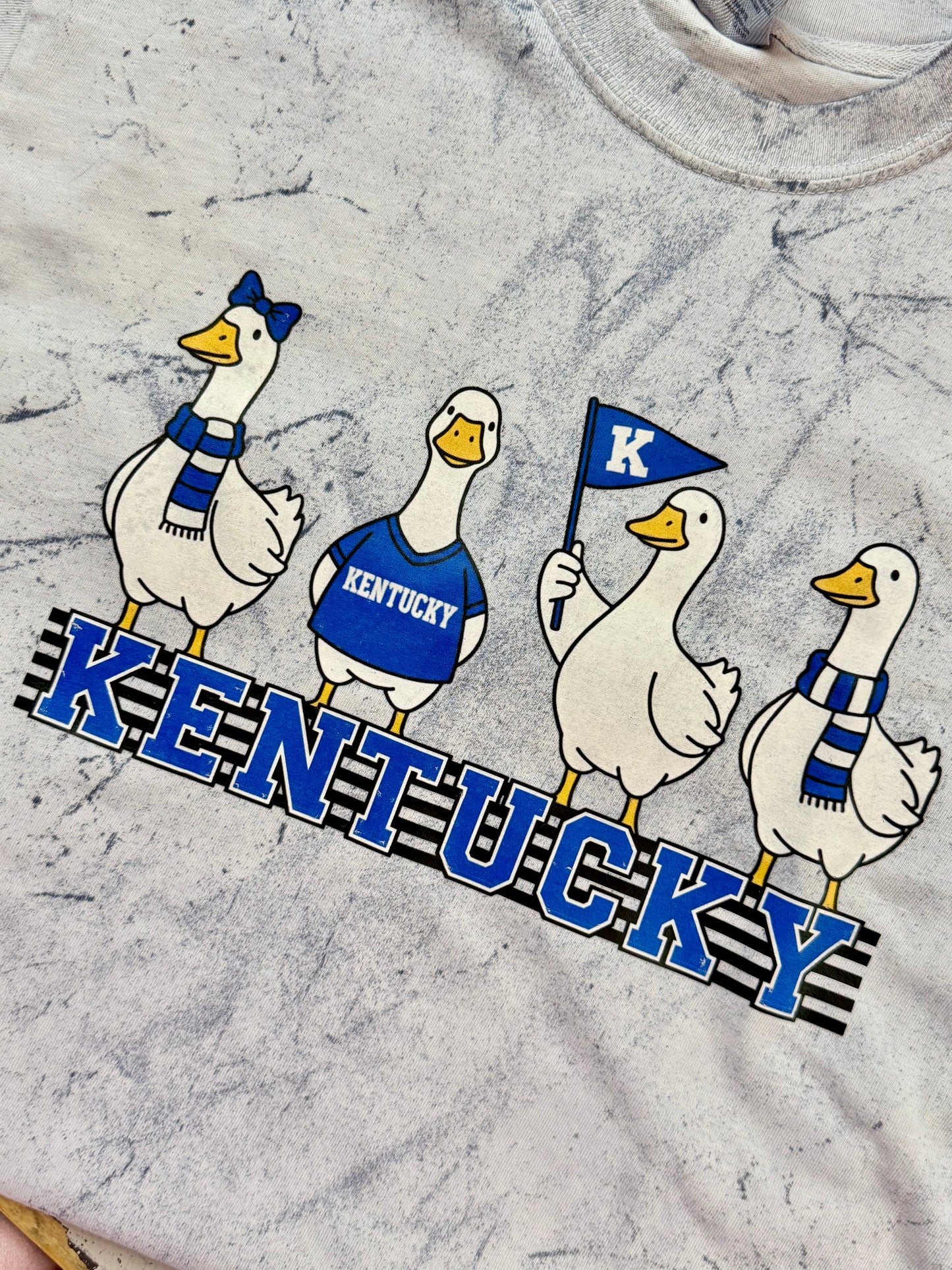 Kentucky Goose Comfort Colors Tee