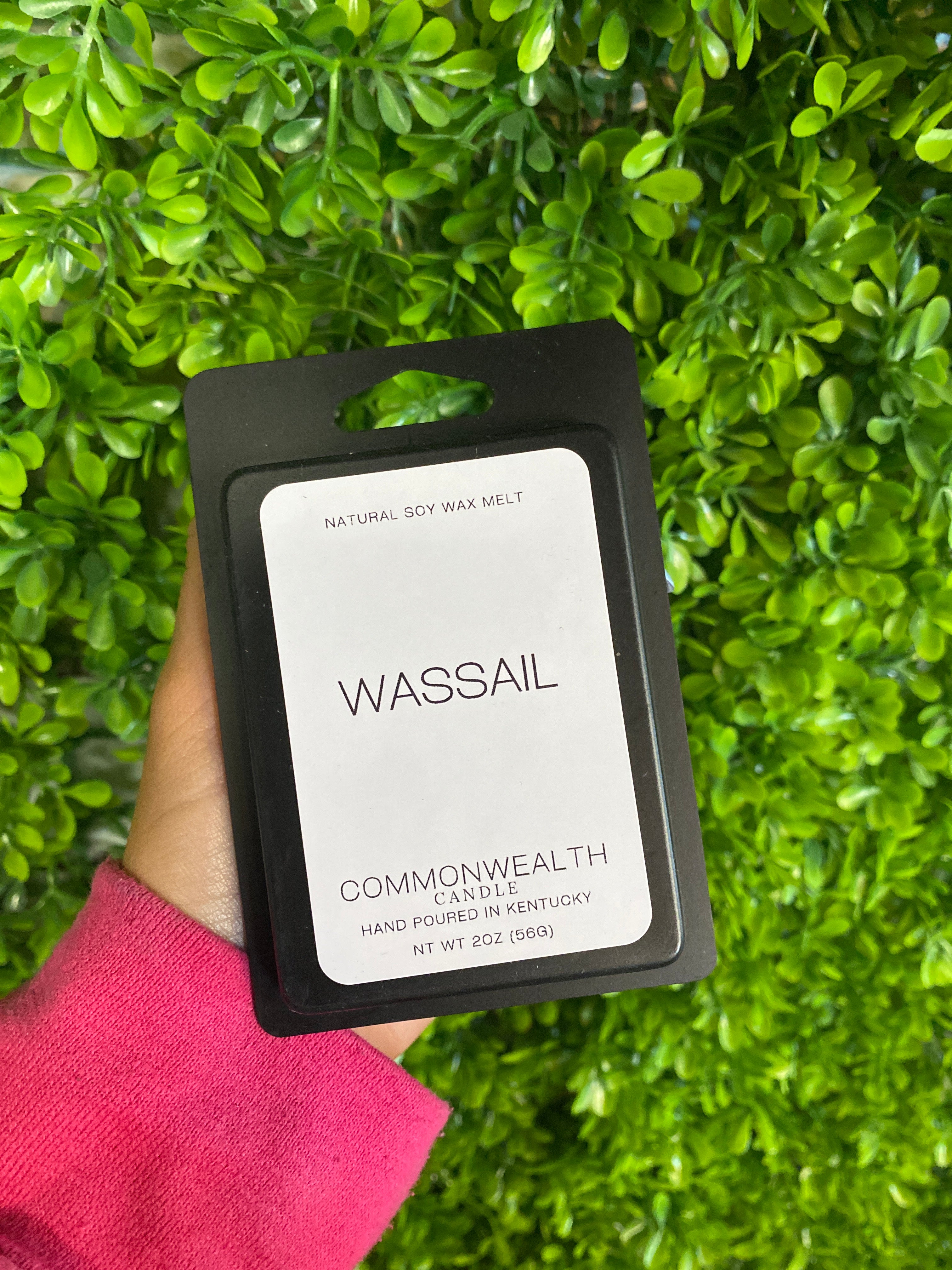 Wassail: Wax Melt