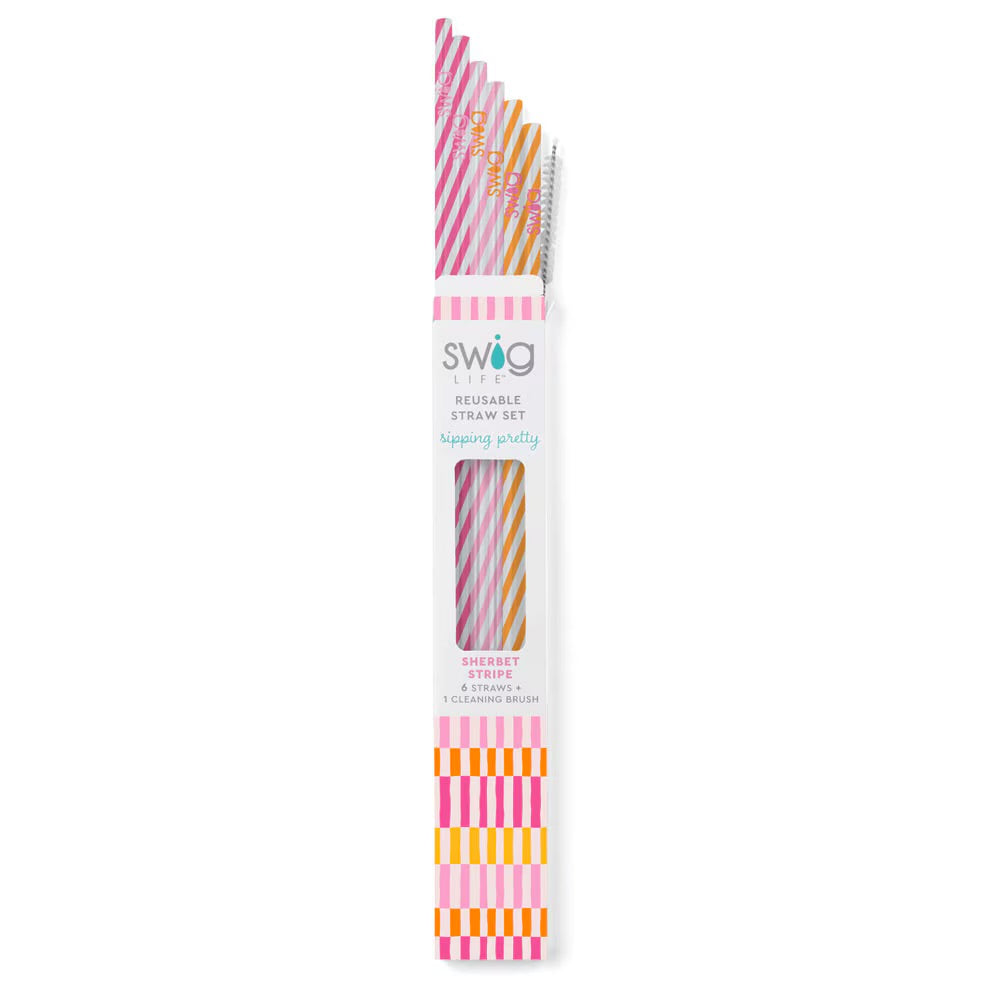 Sherbet Stripe Swig Reusable Straw Set