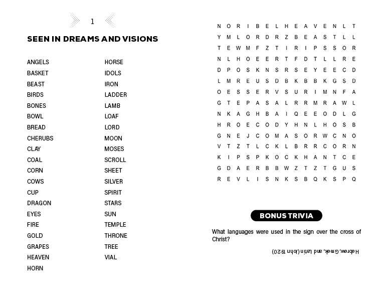 Jumbo Bible Word Search Fun