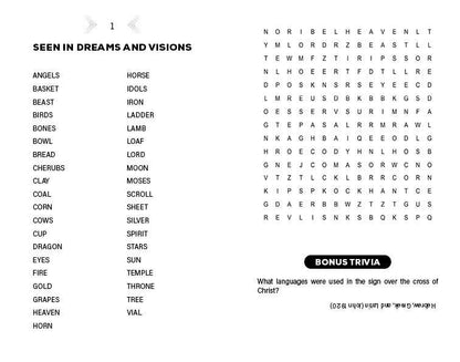 Jumbo Bible Word Search Fun