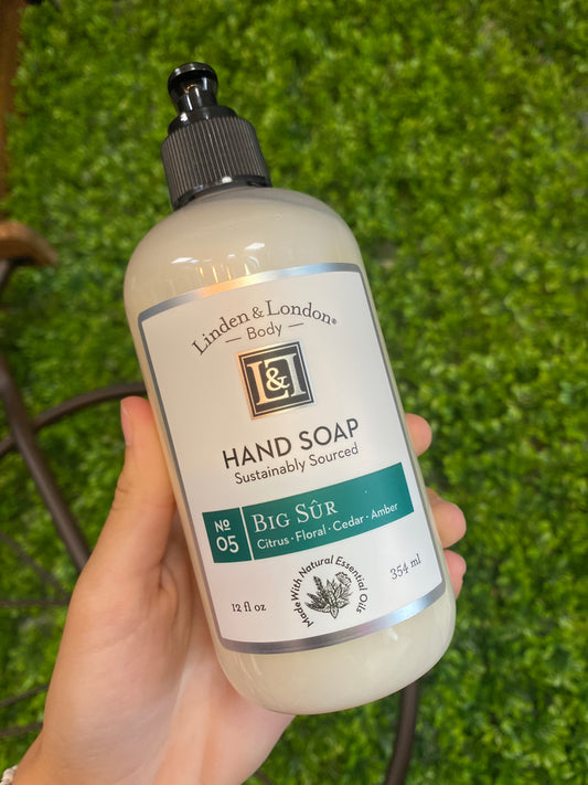 Big Sur Hand Soap 12fl oz