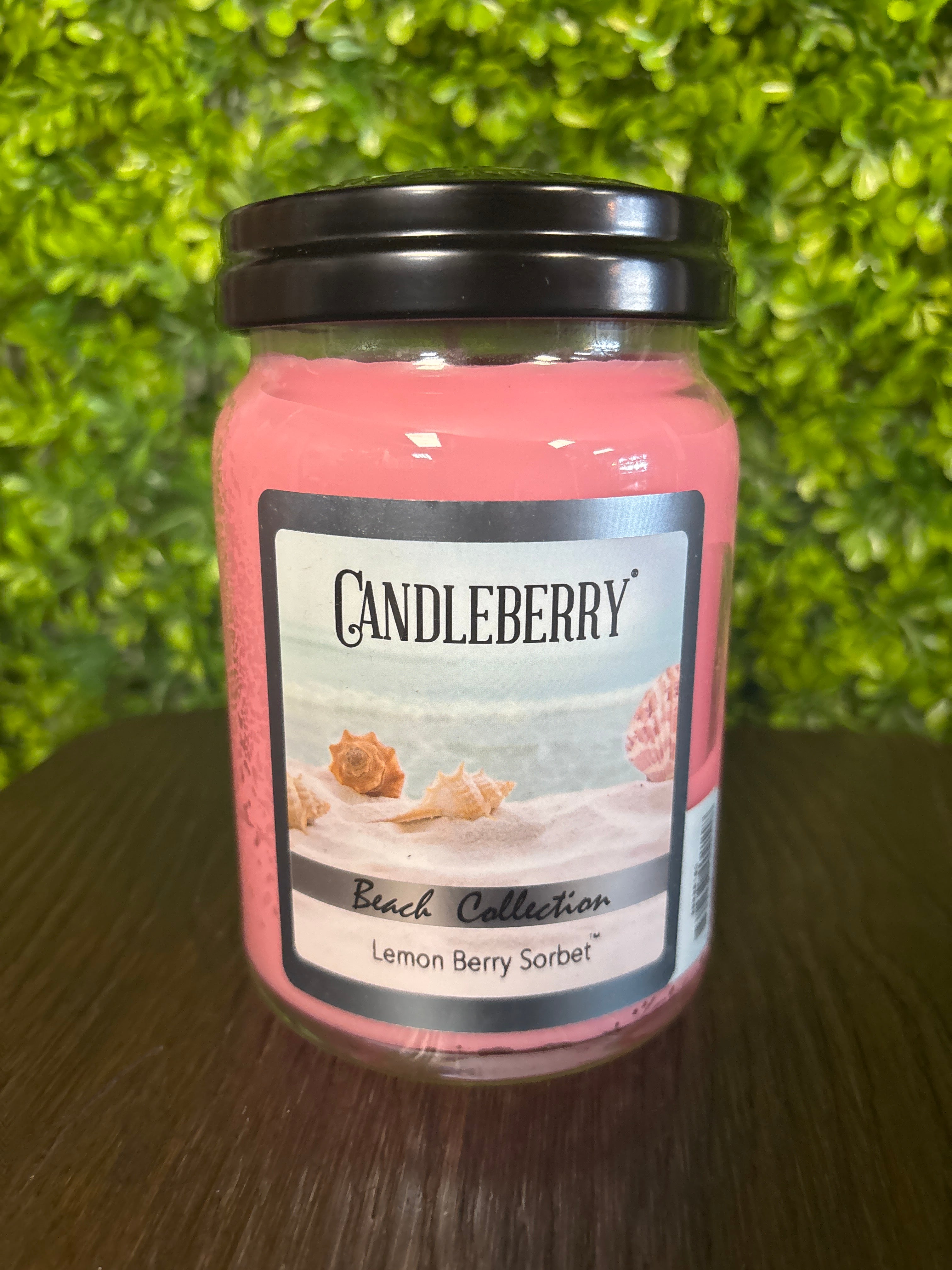 Candleberry Beach Collection - Lemon Berry Sorbet