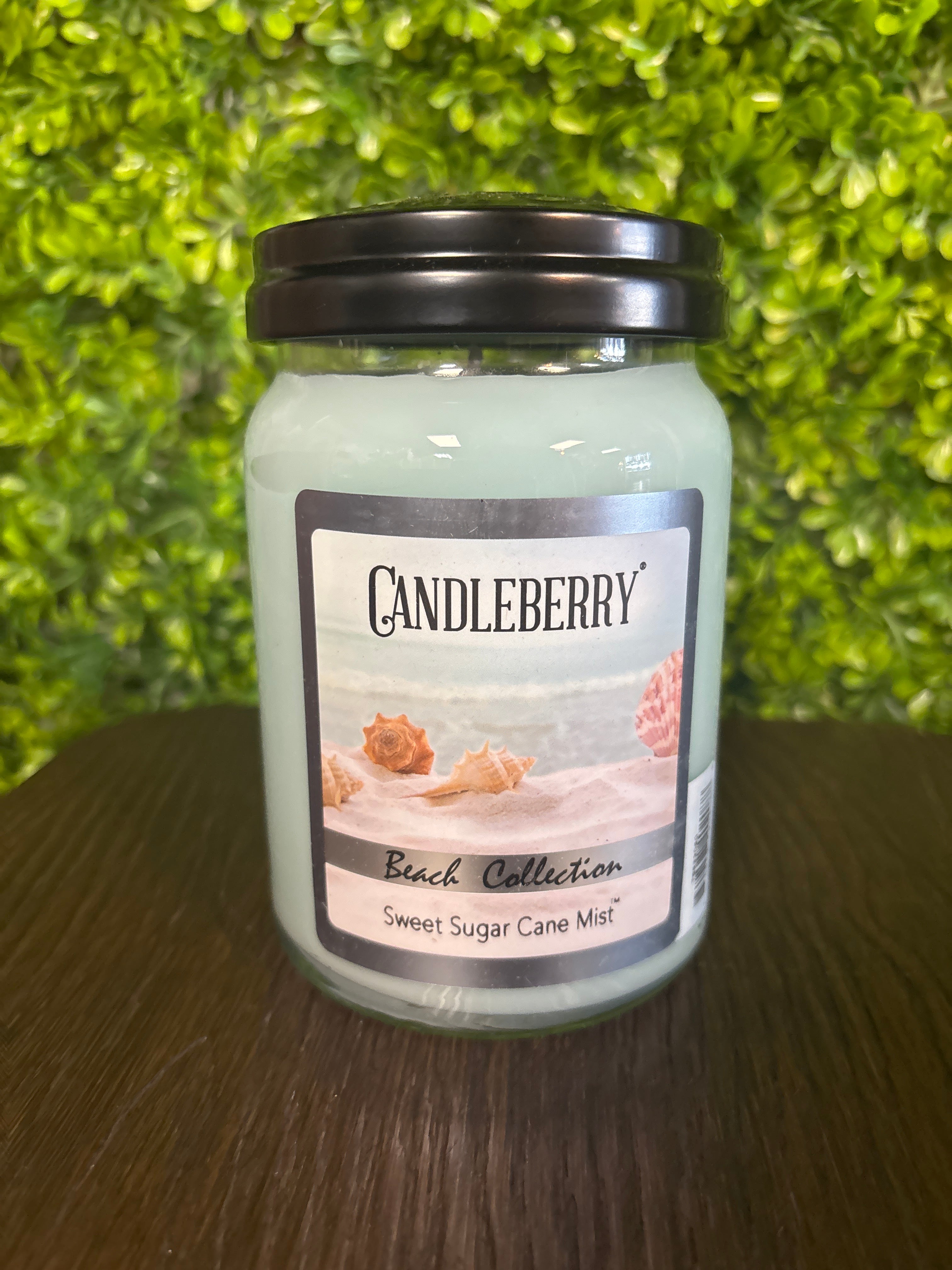 Candleberry Beach Collection - Sweet Sugar Cane Mist