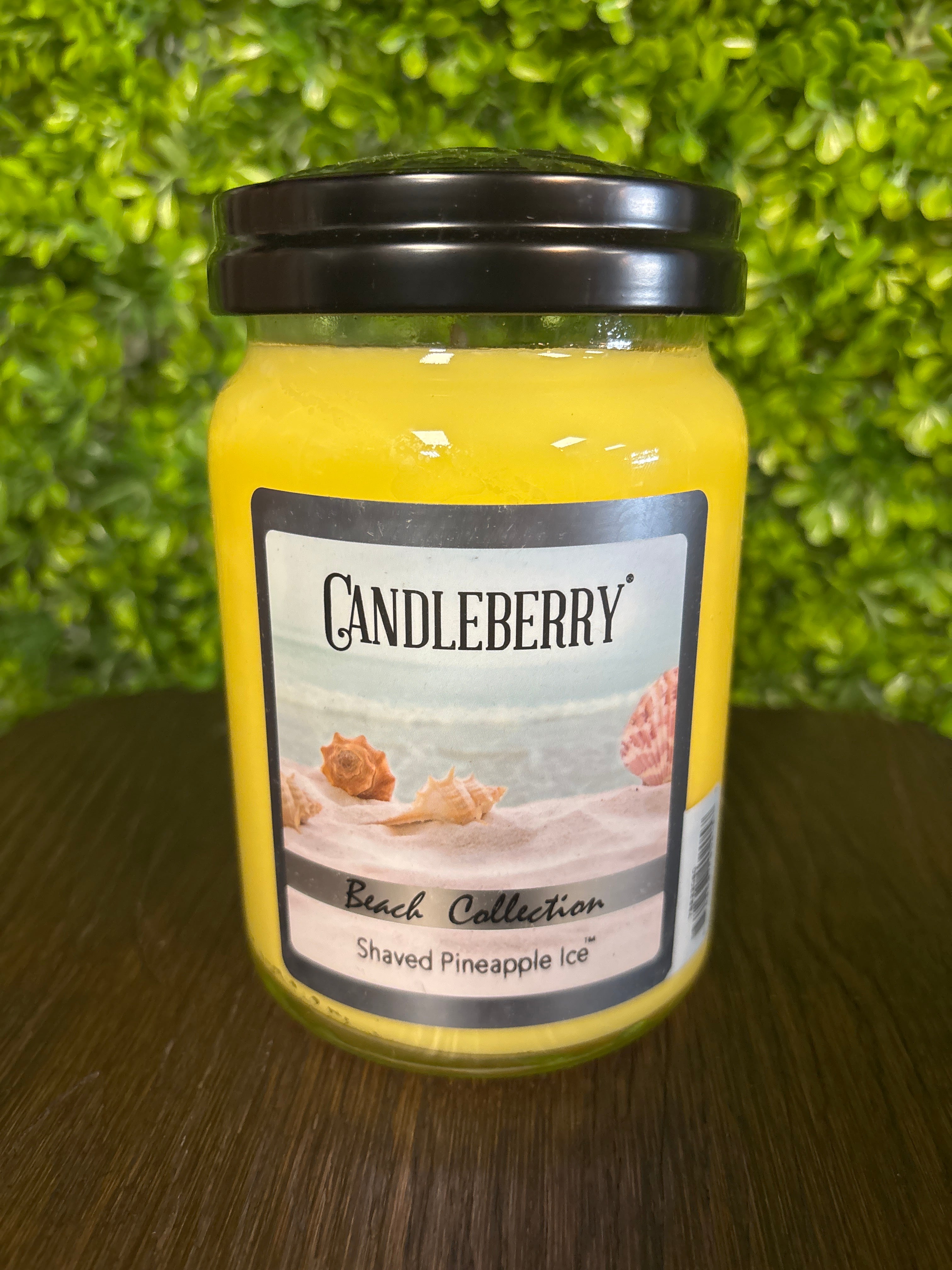 Candleberry Beach Collection - Shaved Pineapple Ice