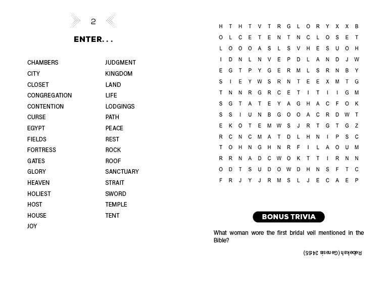 Jumbo Bible Word Search Fun