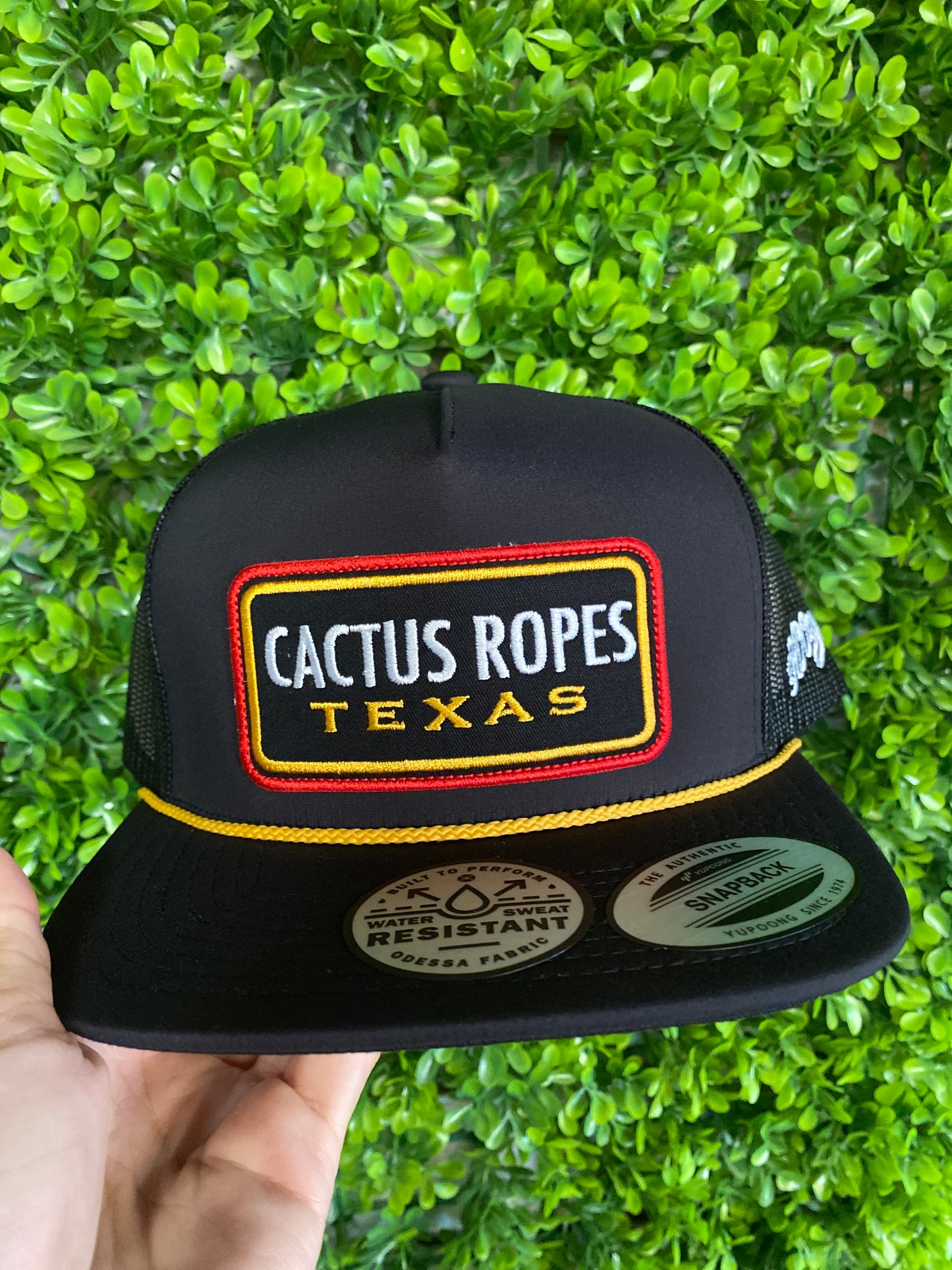 Cactus Ropes Yellow/ Red Hooey Hat