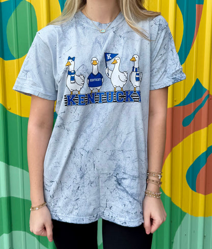 Kentucky Goose Comfort Colors Tee