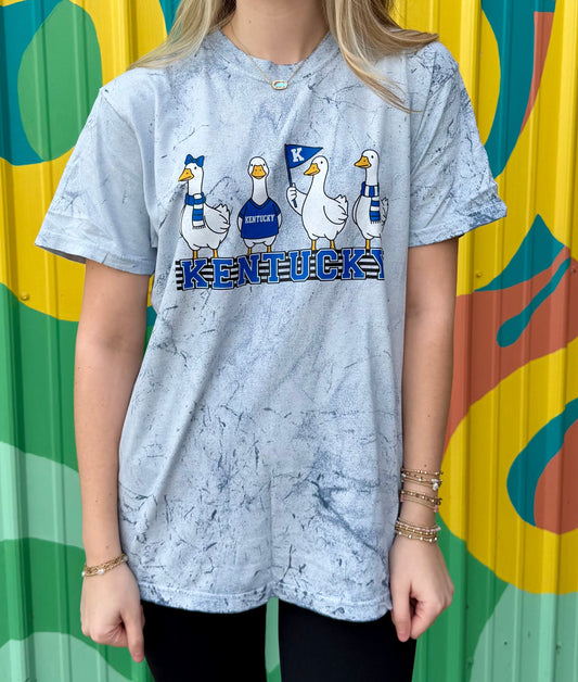 Kentucky Goose Comfort Colors Tee