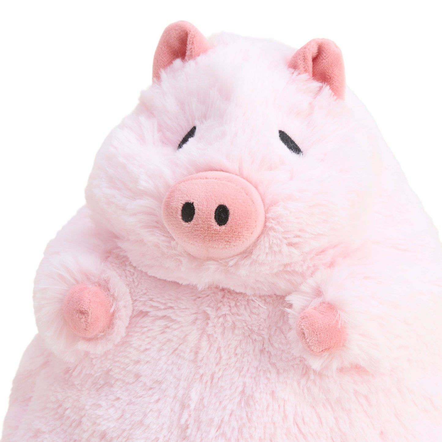 Prosperity Pig Warmies