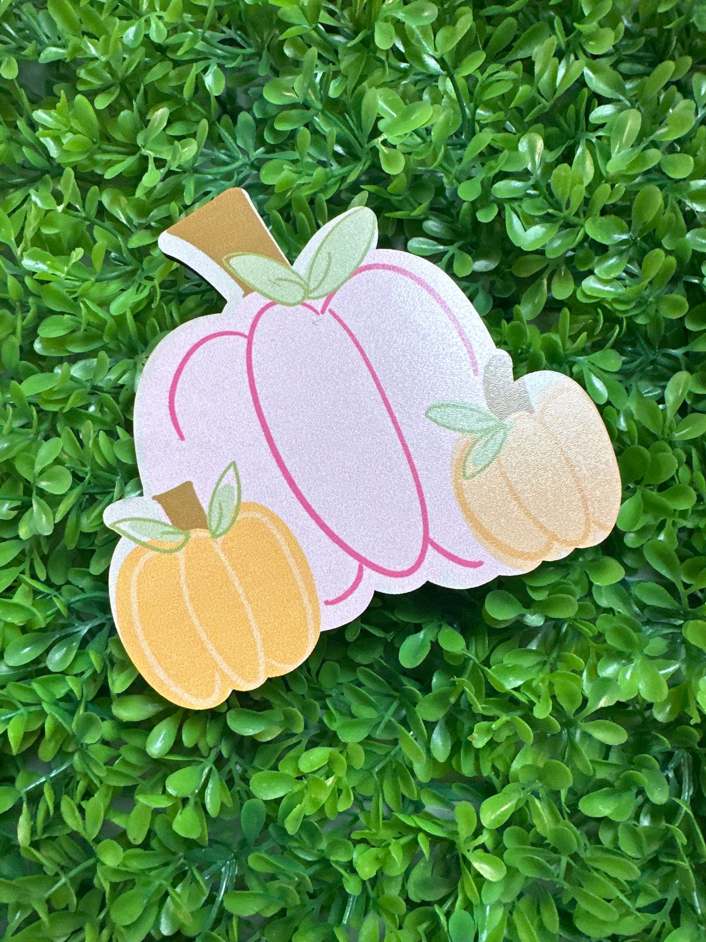 Pink Pumpkin Mini Attachment