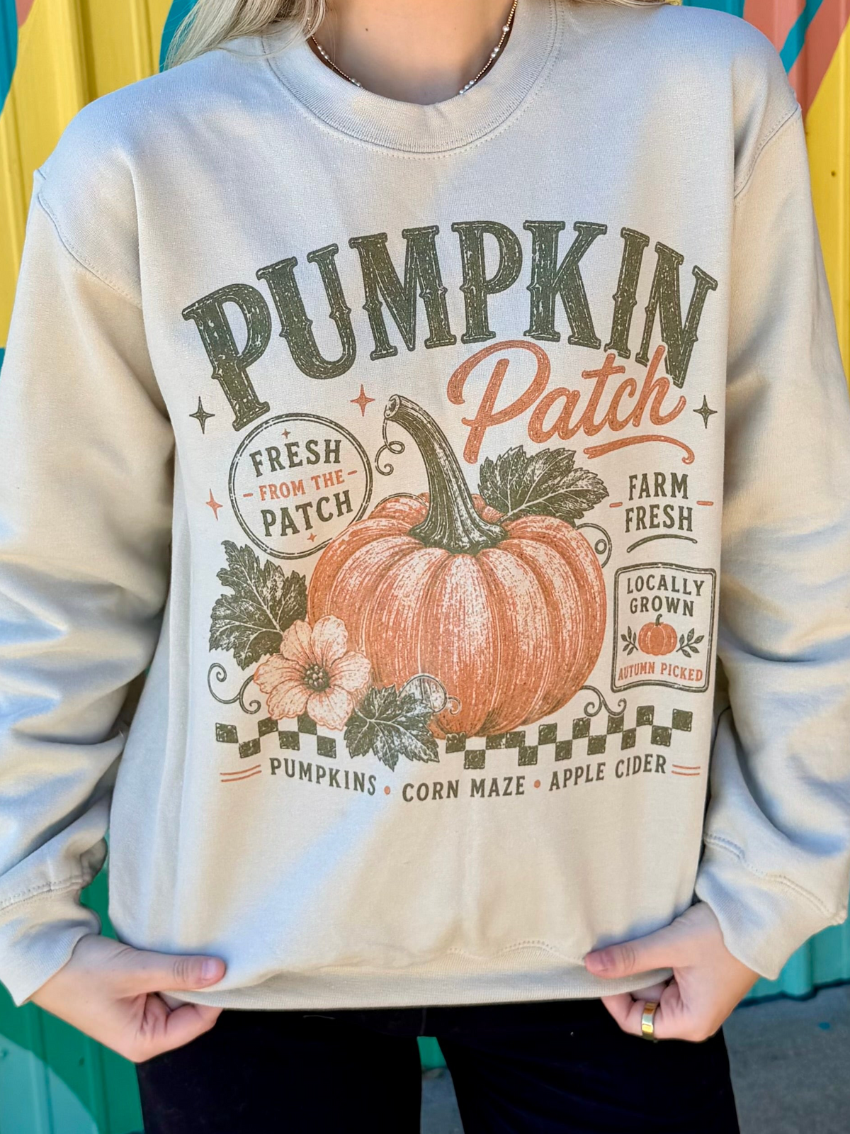 Vintage Pumpkin Patch Sweatshirt Crewneck