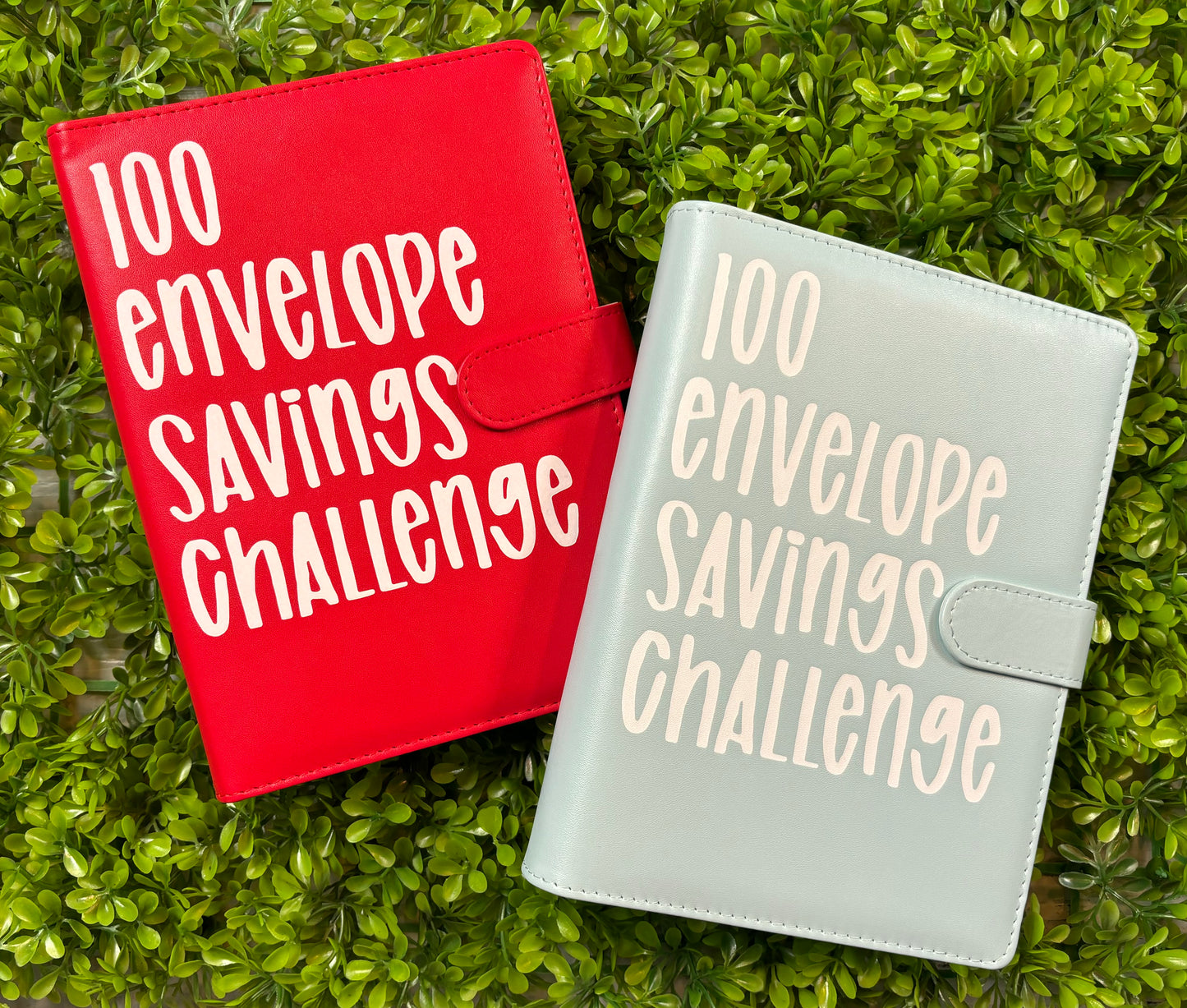 100 Envelope Savings Challenge