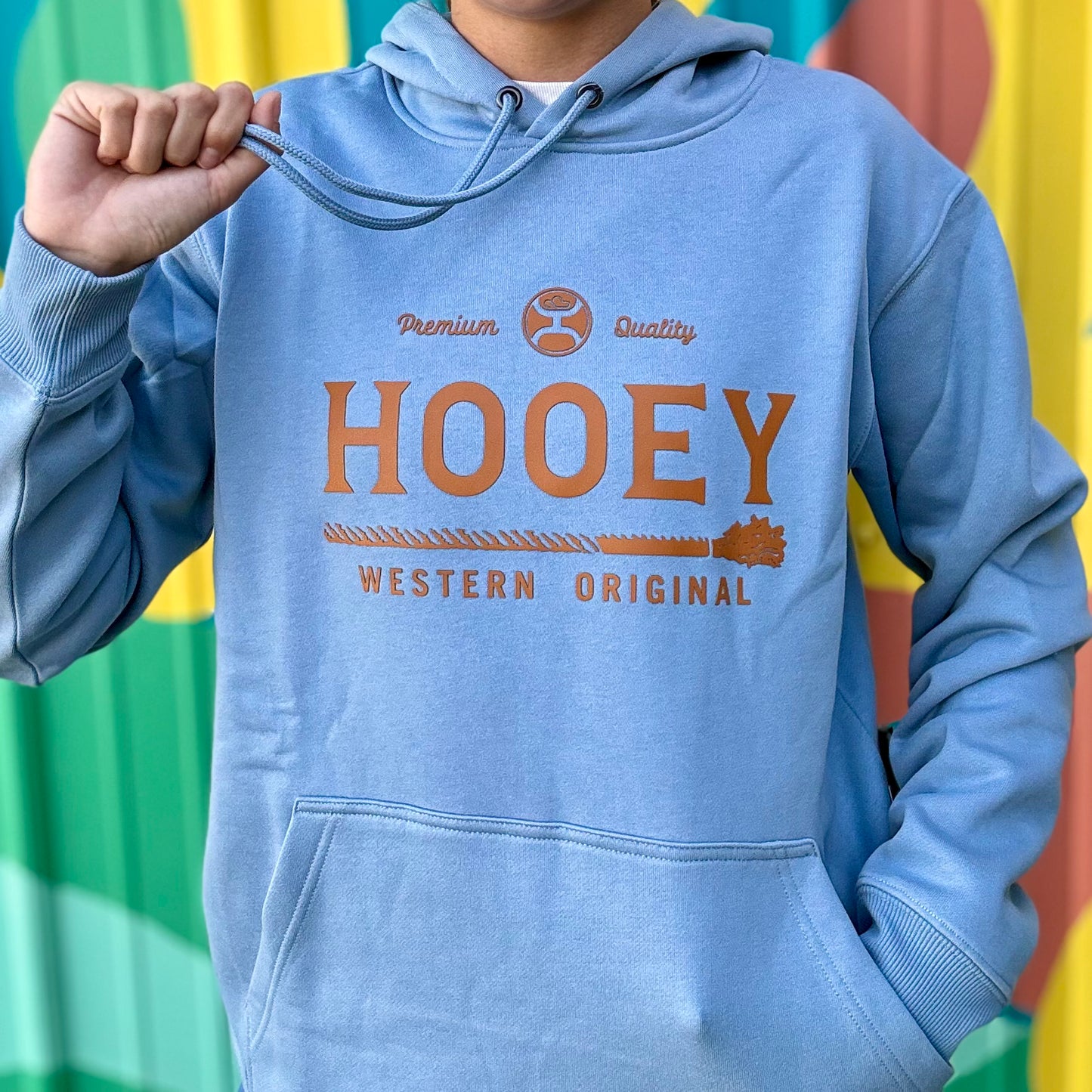 Premium Blue Hoodie