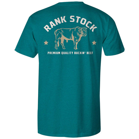 Youth Rank Stock Teal Tee