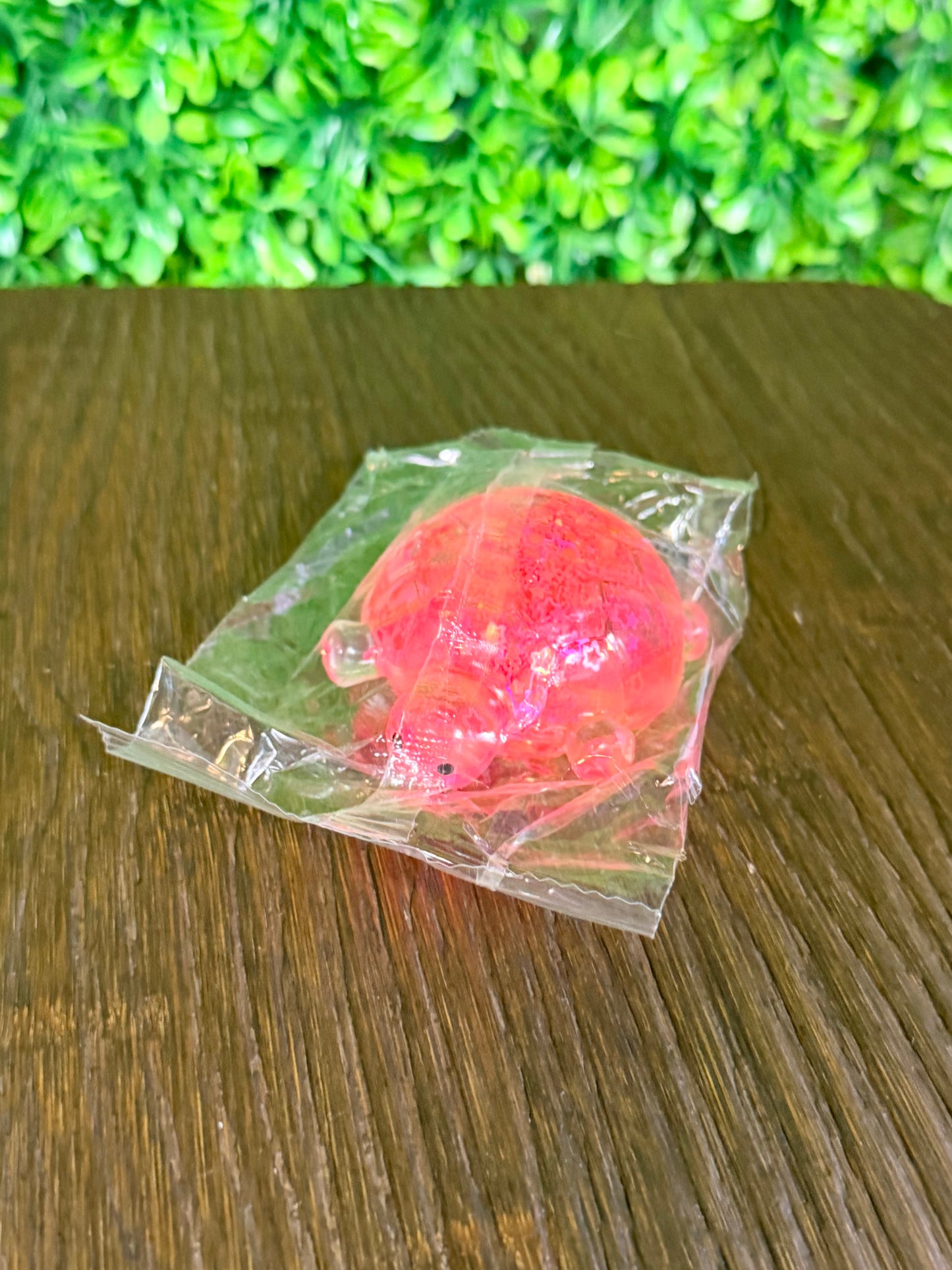 Turtle Squishy - IN STOCK