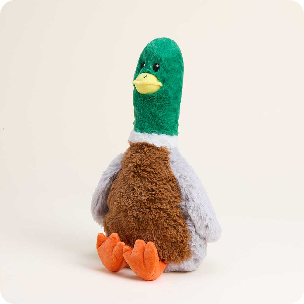 Mallard Pet Toy Warmies