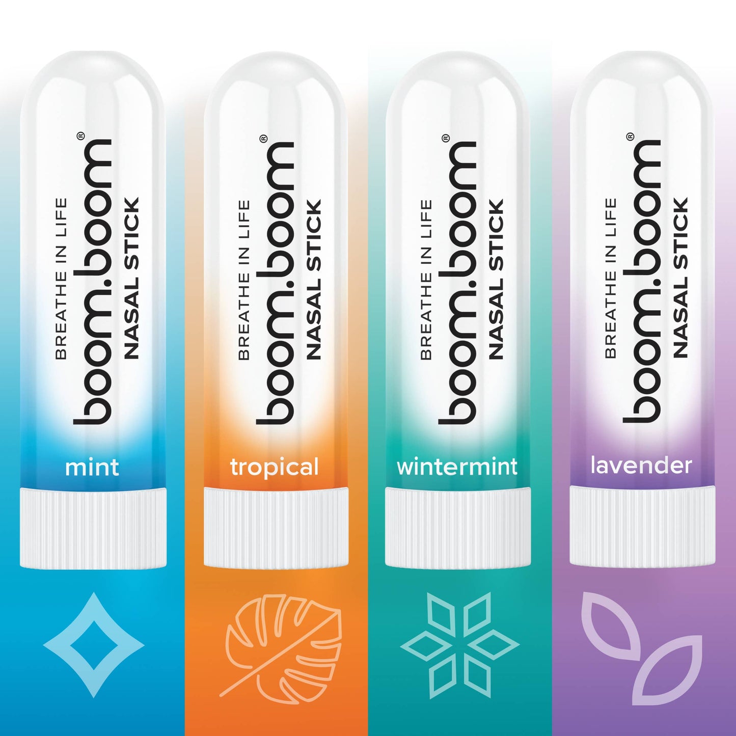 Nasal Stick - Variety Pack (24 units)