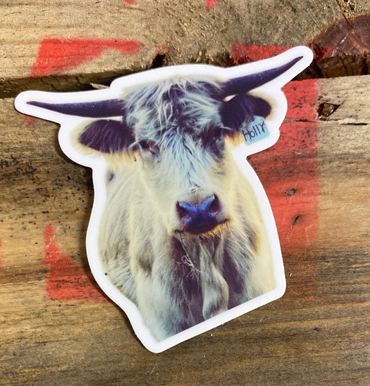 Highland Cow Waterproof Decal/Sticker